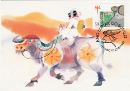 Macau, Macao, Maximum Cards, (88), Ano Lunar Do Bufalo 1997 - Maximumkaarten