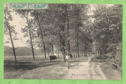 A185  CPA  VERNEUIL Sur SEINE    (Seine Et Oise)  Bois De Verneuil   -  La Pâture  -  Jeune Garçon  ++++++ - Verneuil Sur Seine