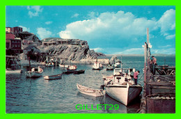 PORT DE GRAVE, NEWFOUNDLAND - FISHING SCENE - ATKINSON LTD - LUSTERCHROME - - Sonstige & Ohne Zuordnung