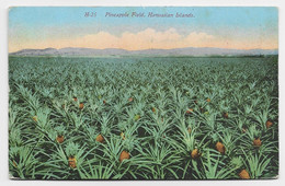 HAWAI CARD PINEAPPLE FIELD HAWAIIAN ISLANDS - Hawaï