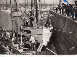 Douarnenez Animée Le Port Bateaux - Douarnenez