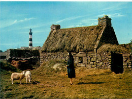 Ile D'ouessant * Vue Sur Une Chaumière De Bretagne - Ouessant