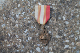 Medaille De L'union Nationale Des Combatants (1914/1918) - Frankrijk