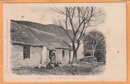 Glengarriff Co Cork Ireland 1900 Postcard - Cork