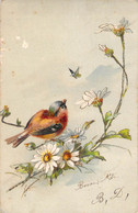 CPA Oiseaux - Bonne Fète - Oiseau Et Margherites - Bonne Fete - Dos Simple - 1904 - Birds