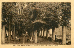 La Malzieu Ville * L'allée Du Foirail - Other & Unclassified