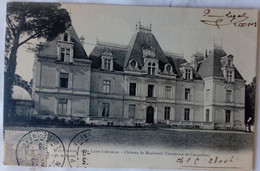 Chateaux De La Loire Inférieure  Carquefou Chateau De Maubreuil  44 - Carquefou