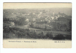 SOUVENIR D'ESNEUX  -  Panorama Du Mont    Edit. E C  N° 55 - Esneux