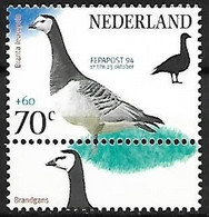 Netherlands - MNH ** 1994 :  Barnacle Goose -   Branta Leucopsis - Geese