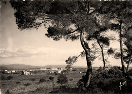 Hyères * Le Palivestre * Le Camp D'aviation * Aérodrome - Hyeres