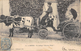 CPA 09 ARIEGE UN ATTELAGE NOUVEAU SIECLE - Andere & Zonder Classificatie