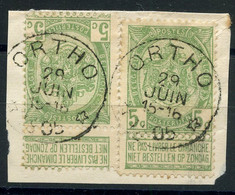 BELGIQUE - COB 83 - 5C VERT JAUNE X 2 RELAIS ORTHO - 1893-1907 Armarios