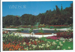 JACKSON PARK SUNKEN GARDENS.- WINDSOR.- ( CANADA ) - Windsor