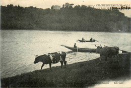 Champtoceaux * La Loire Et Le ... * Barques Vaches - Champtoceaux