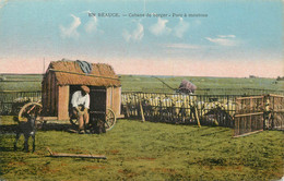 EN BEAUCE CABANE DE BERGER PARC A MOUTONS - Autres & Non Classés