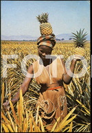 PHOTO POSTCARD GIRL WOMAN FEMME PINEAPPLE NATIVE  AFRICAN ETHNIC SWAZILAND AFRICA AFRIQUE CARTE POSTALE NT62 - Swaziland