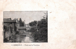 L'Arbresle (Rhône) Pont Sur La Turdine - Edition Pipard - Carte Dos Simple - L'Arbresle