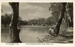 Australia, VIC, ECHUCA, The Picturesque Murray River, Rose Series RPPC - Otros & Sin Clasificación