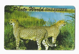 NAMIBIE REF MVCARD NMB-11 N$ 10 CHEETA  PHOTO WORLD Zéro Barré - Namibië