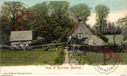 VIEW AT BURNHAM BEECHES - Buckinghamshire