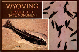 Wyoming Fossil Butte National Monument Fish Fossils - Other & Unclassified