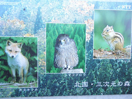 JAPAN   NTT AND  OTHERS CARDS  ANIMALS FOX OWLS - Búhos, Lechuza