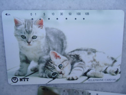 JAPAN   NTT AND  OTHERS CARDS  ANIMALS  CAT CATS - Chats