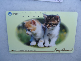 JAPAN   NTT AND  OTHERS CARDS  ANIMALS  CAT CATS - Katzen