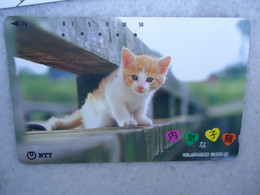 JAPAN   NTT AND  OTHERS CARDS  ANIMALS  CAT CATS - Chats