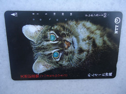 JAPAN   NTT AND  OTHERS CARDS  ANIMALS  CAT CATS - Katten