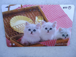 JAPAN   NTT AND  OTHERS CARDS  ANIMALS  CAT CATS - Gatos