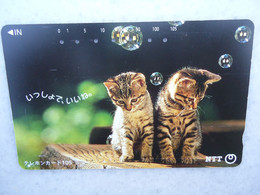 JAPAN   NTT AND  OTHERS CARDS  ANIMALS  CAT CATS - Katzen