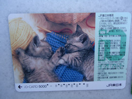 JAPAN   NTT AND  OTHERS CARDS  ANIMALS  CAT CATS - Gatti