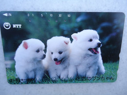 JAPAN   NTT AND  OTHERS CARDS  ANIMALS  DOG  DOGS - Honden