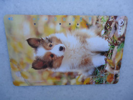 JAPAN   NTT AND  OTHERS CARDS  ANIMALS  DOG  DOGS - Honden