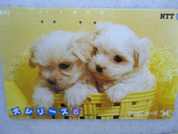 JAPAN   NTT AND  OTHERS CARDS  ANIMALS  DOG  DOGS - Chiens