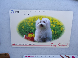 JAPAN   NTT AND  OTHERS CARDS  ANIMALS  DOG  DOGS - Honden