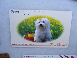 JAPAN   NTT AND  OTHERS CARDS  ANIMALS  DOG  DOGS - Chiens