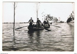 POLESINE (RO):  BARCHE  DI  PROFUGHI  SULLA  ROVIGO-ADRIA  -  ALLUVIONE  NOV. 1951 -  FOTO  -  FG - Floods
