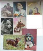 Cp Lot 7x PHOTO Veritable Theme Chien Chiens Avec Couple Ou Femme Caniche Loulou  Fox Terrier - Colecciones Y Lotes