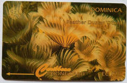 Dominica Cable And Wireless 7CDMF EC$20 " Feather Duster Worm " - Dominique