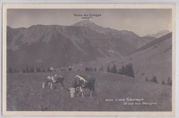 L'Alpe Savoyarde Et Vue Sur Morgins Pointe Des Granges Phototypie Montreux - Granges