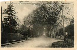 Paray Le Monial * Avenue De Charolles Aux Platanes Séculaires * Route Nationale - Paray Le Monial