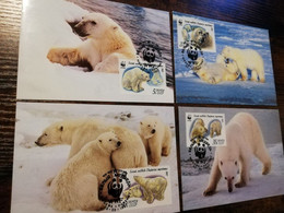 RUSSIA/ USSR  / 4 MAXIMUM CARDS POLAR BEERS   WWF  1987       ** BRIEF 194** - Cartoline Maximum