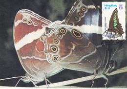 Hong Kong, Maximum Cards, (29)  Papillons Hong Kong, 1987 - Cartes-maximum