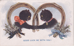 Postcard - Good Luck Be With You - Comique Series No. 2694 - Posted 25-09-Year Not Visible - VG - Non Classificati