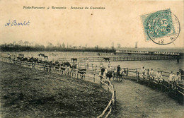 St Lo * Piste Parcours , Remonte , Annexe De Couvains * Haras Chevaux Cheval Horse écuries Hippique Hippisme - Saint Lo