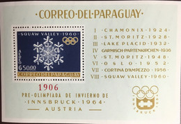 Paraguay 1963 Winter Olympics 1st Series Minisheet MNH - Paraguay