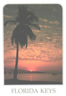 USA:Florida Keys, Sunset - Key West & The Keys