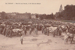 CHOLET. - Marché Aux Boeufs, 1748 Têtes De Bétail - Cholet